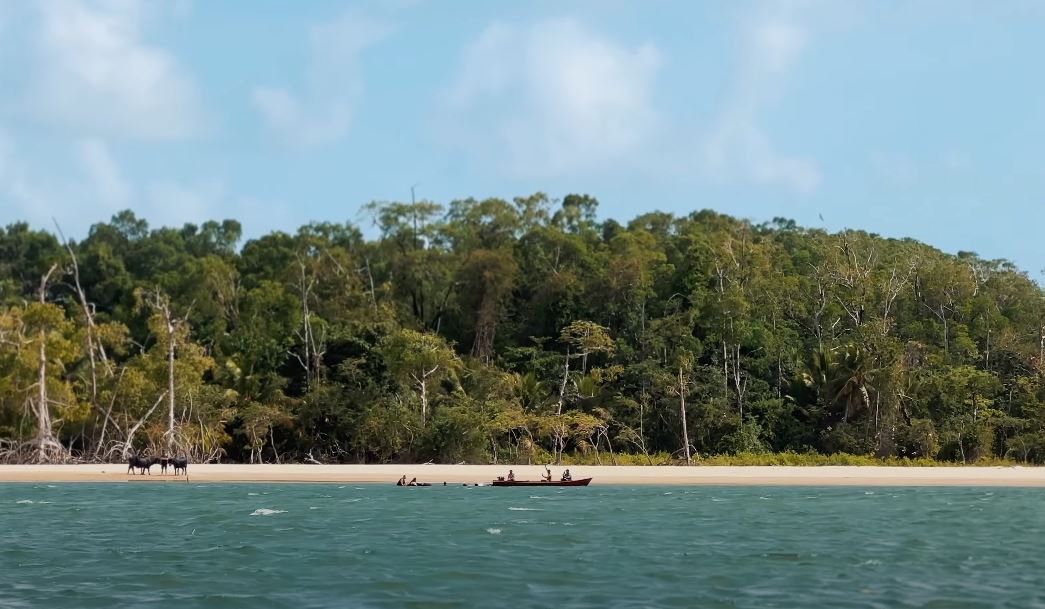  paisagem marajo barco bufalo.